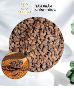 Nữ Trinh Tử Khô SATOSO
