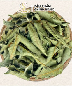 Lá ổi khô thượng hạng SATOSO
