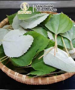 Lá Gai Khô SATOSO Hỗ Trợ Thanh Nhiệt, Tốt Cho Sức Khỏe