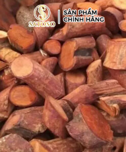 Rễ Cây Mú Từn Khô SATOSO