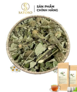 Cây Cối Xay Túi Lọc Thương Hiệu SATOSO