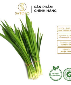 Lá dứa (lá nếp) khô thơm ngon, sạch SATOSO Hỗ Trợ Sức Khoẻ