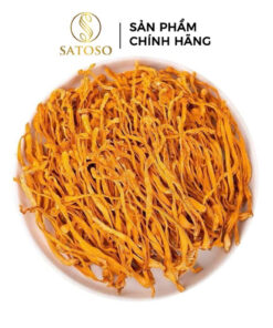 Đông Trùng Hạ Thảo Sấy Nhiệt Thượng Hạng SATOSO