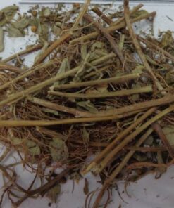Diệp hạ châu (cây chó đẻ răng cưa) sấy khô SATOSO - Ảnh 5