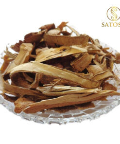 Cây náng hoa trắng khô SATOSO - Ảnh 2
