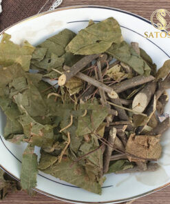 Bạch Đồng Nữ SATOSO - Ảnh 2