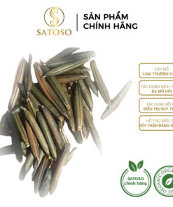 Cây Nổ Khô SATOSO