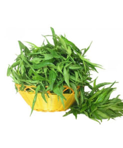 Cây Xương Khỉ Khô SATOSO - Ảnh 2