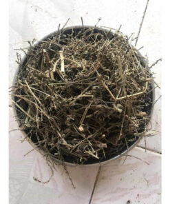 Cây Râu Mèo Khô SATOSO - Ảnh 3
