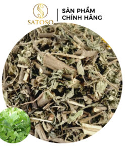 Cây Cúc Tần Sấy Khô, Sạch Satoso - Ảnh 2