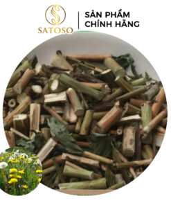 Thân Cây Bồ Công Anh Khô Sạch Thượng Hạng SATOSO - Ảnh 4