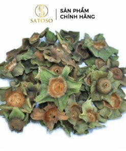 Thị Đế Khô SATOSO - Ảnh 2