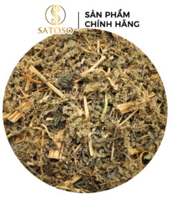 Cây Dền Gai Khô Thương Hiệu SATOSO