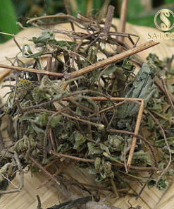 Cây hy thiêm khô SATOSO - Ảnh 2
