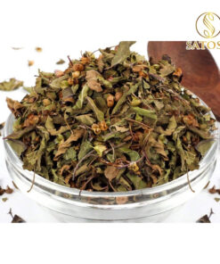 Cây hương nhu khô thượng hạng SATOSO - Ảnh 2