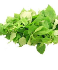 Cây Kinh Giới sấy khô SATOSO - Ảnh 2