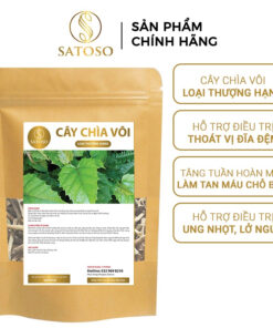 Cây chìa vôi khô SATOSO - Ảnh 3