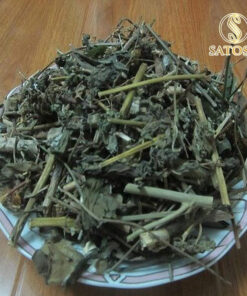 Bạch Đồng Nữ SATOSO - Ảnh 3