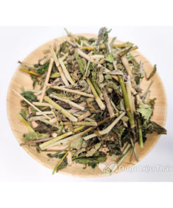 Cây Xương Khỉ Khô SATOSO - Ảnh 3