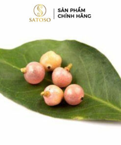 Cây Bưởi Bung Khô SATOSO - Ảnh 3