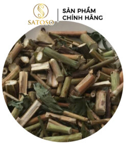 Thân Cây Bồ Công Anh Khô Sạch Thượng Hạng SATOSO - Ảnh 2