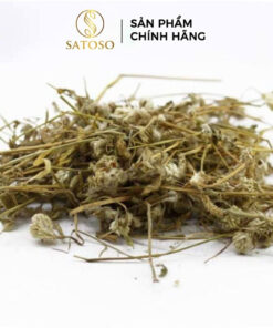 Cây Nở Ngày Đất Khô SATOSO Thảo Dược Tự Nhiên Hỗ Trợ Sức Khỏe - Ảnh 3