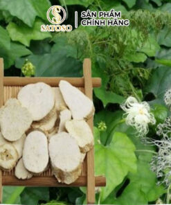 Thiên Hoa Phấn Loại 1 Thương Hiệu SATOSO Hỗ Trợ Sức Khoẻ - Ảnh 3