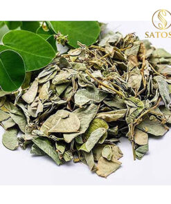 Kim Tiền Thảo Thượng Hạng SATOSO - Ảnh 4