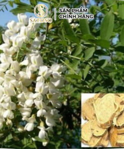 Sơn Đậu Căn Khô SATOSO Hỗ Trợ Thanh Nhiệt, Cân Bằng Cơ Thể - Ảnh 4