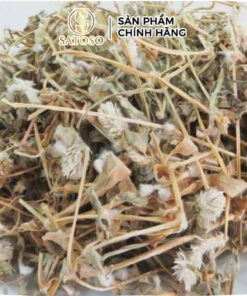 Cây Nở Ngày Đất Khô SATOSO Thảo Dược Tự Nhiên Hỗ Trợ Sức Khỏe - Ảnh 4
