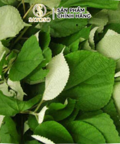 Lá Gai Khô SATOSO Hỗ Trợ Thanh Nhiệt, Tốt Cho Sức Khỏe - Ảnh 4