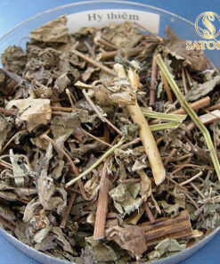 Cây hy thiêm khô SATOSO - Ảnh 4