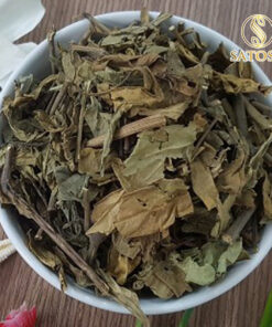 Cây hương nhu khô thượng hạng SATOSO - Ảnh 4