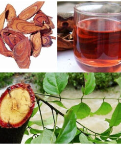 Cỏ Máu 7 Vị giúp bổ máu, lưu thông khí huyết, hỗ trợ tăng cân, dáng đẹp SATOSO - Ảnh 5
