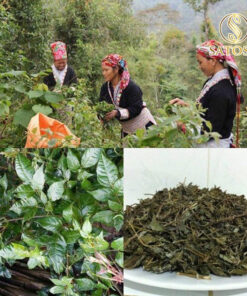 Chè Dây Thượng Hạng Túi Lọc Thương Hiệu Satoso Hỗ Trợ Sức Khoẻ - Ảnh 6