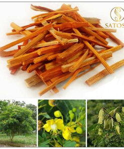Tô mộc khô thượng hạng SATOSO - Ảnh 5
