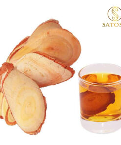 Rễ Mật Nhân Thượng Hạng SATOSO - Ảnh 5