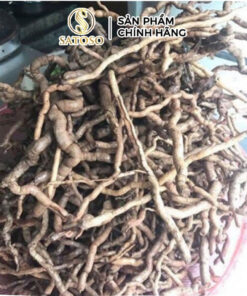 Cây Bưởi Bung Khô SATOSO - Ảnh 5