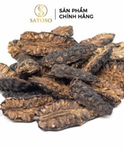 Trái Nhàu Khô SATOSO Hỗ Trợ Sức Khỏe, Tăng Cường Đề Kháng - Ảnh 5