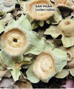 Thị Đế Khô SATOSO - Ảnh 5