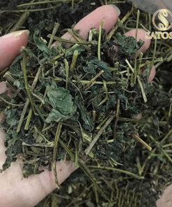 Trà Giảo Cổ Lam Túi Lọc Thương Hiệu Satoso - Ảnh 5