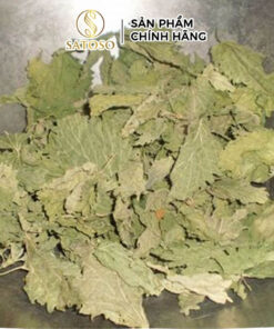 Lá Gai Khô SATOSO Hỗ Trợ Thanh Nhiệt, Tốt Cho Sức Khỏe - Ảnh 5