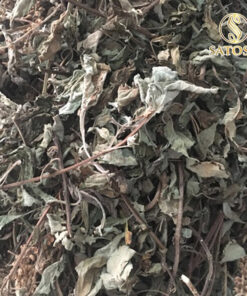 Cây hương nhu khô thượng hạng SATOSO - Ảnh 5