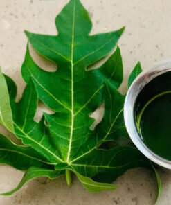 Lá đu đủ đực khô nguyên chất SATOSO - Ảnh 2