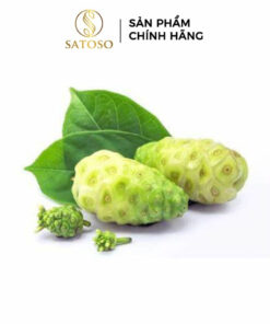 Trái Nhàu Khô SATOSO Hỗ Trợ Sức Khỏe, Tăng Cường Đề Kháng - Ảnh 6