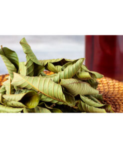 Lá ổi khô thượng hạng SATOSO - Ảnh 6
