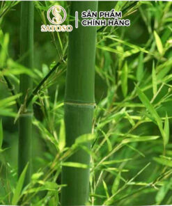 Lá Tre Khô Thương Hiệu Satoso - Ảnh 5
