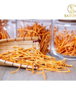 Đông Trùng Hạ Thảo Sấy Nhiệt Thượng Hạng SATOSO - Ảnh 6