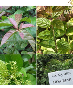 Hạt xạ đen khô SATOSO - Ảnh 6