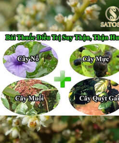 Cây muối khô thượng hạng giúp an thần ngủ ngon SATOSO - Ảnh 7